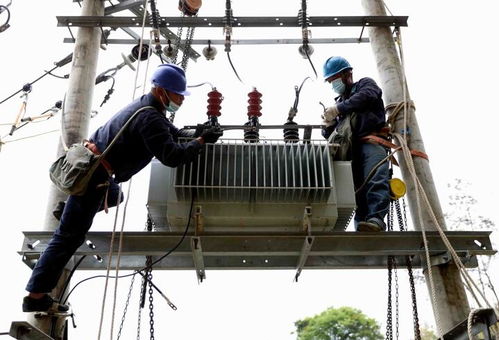 國網福安市供電公司 更換老舊綜配箱，筑牢漁民新村用電安全網