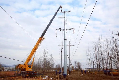 2021春季電力報(bào)告配網(wǎng)供給篇丨配電投資連超輸電 網(wǎng)架結(jié)構(gòu)迭代升級(jí) 供（配）電業(yè)務(wù)